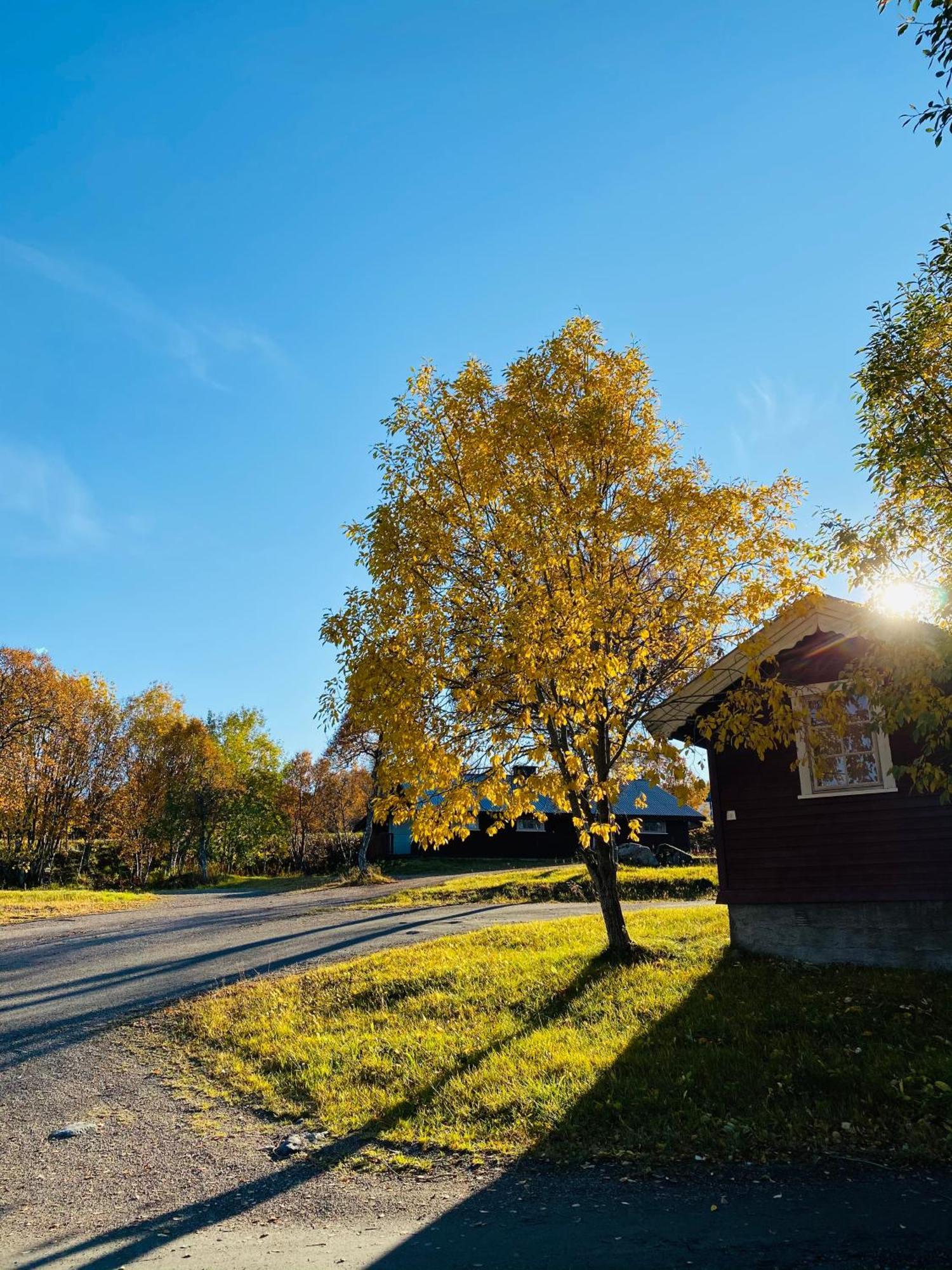 Sortland Camping Og Motell As Zewnętrze zdjęcie