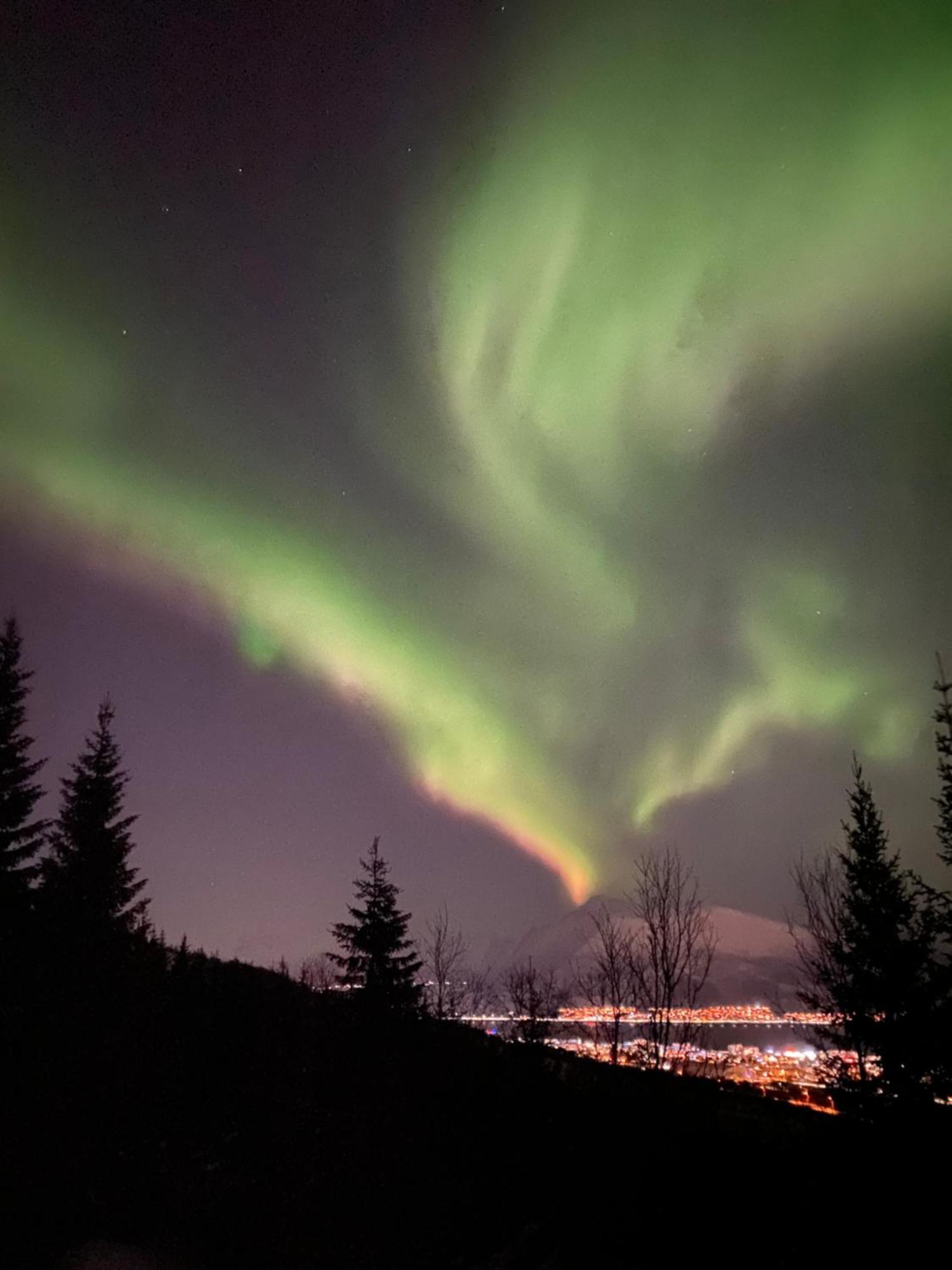 Sortland Camping Og Motell As Zewnętrze zdjęcie