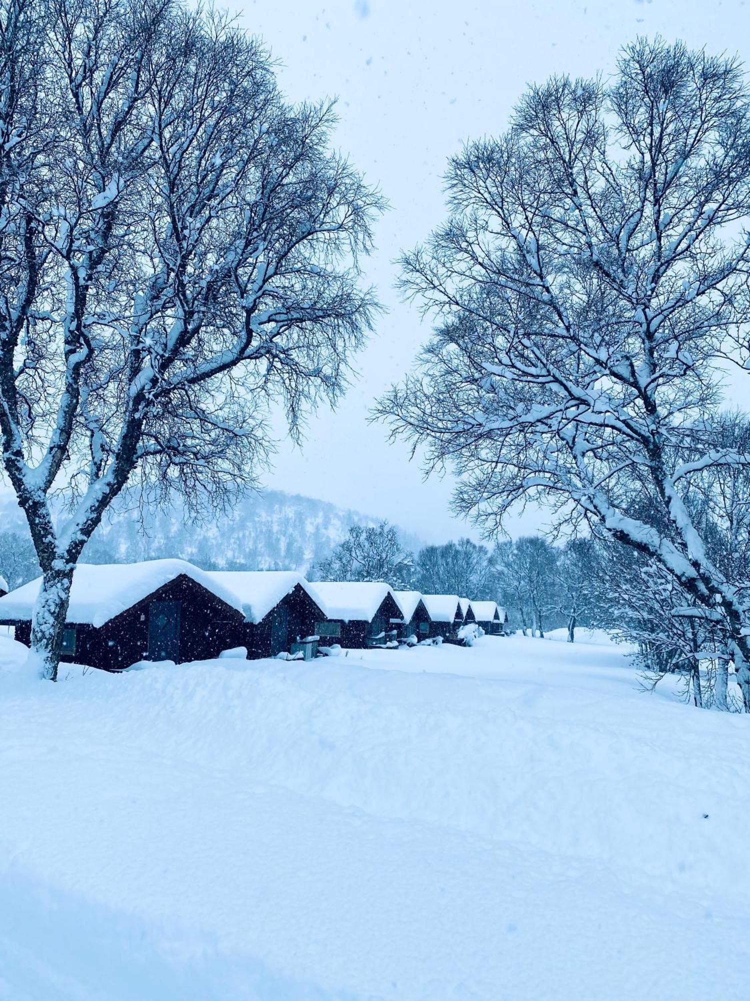Sortland Camping Og Motell As Zewnętrze zdjęcie